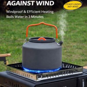 Portable Camping Gas Stove